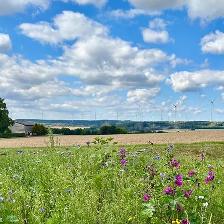 Am Kraeutergarten Im Hunsrueck 70qm
